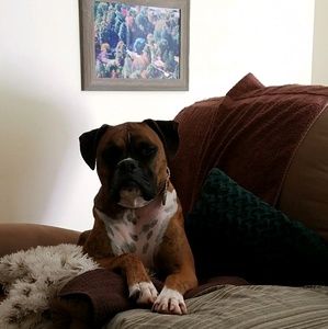 Meet your Posher, Barbara